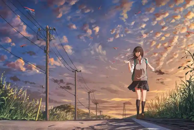 横风动漫软件版本大全