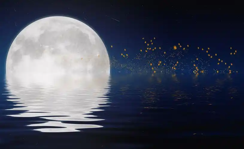 月亮影视大全免费追剧软件