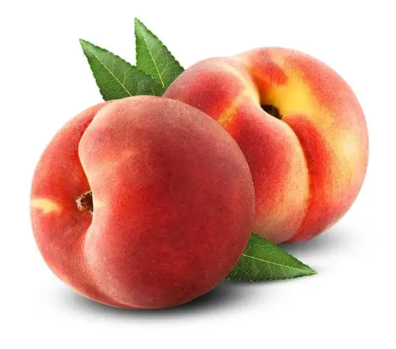 红桃影视版本大全