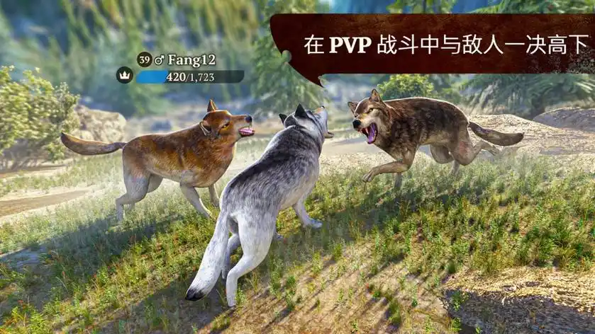 野狼模拟器2汉化版