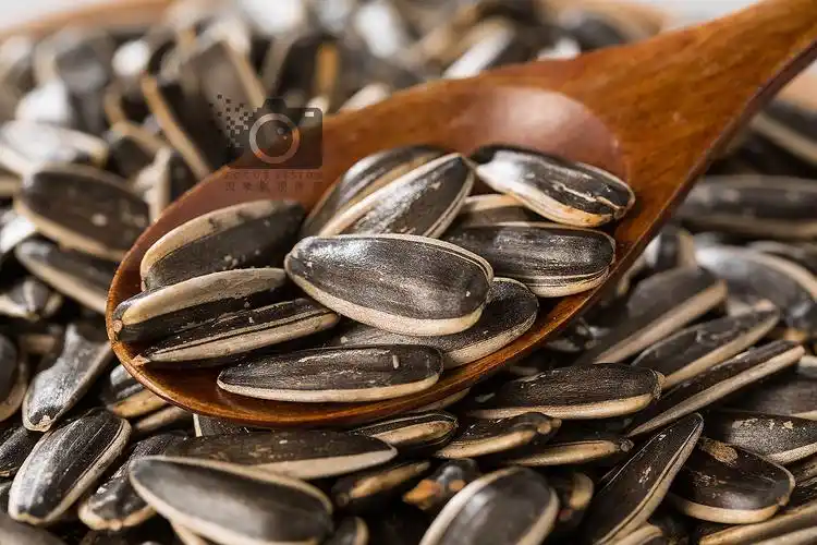 瓜子影视无广告