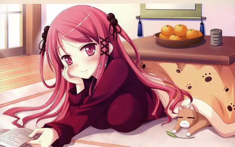 兜兜动漫免费观看