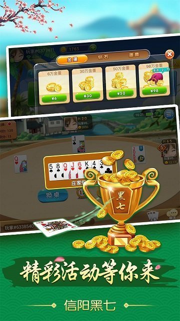 信阳黑七安卓版