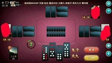 推牌9游戏单机版免费版