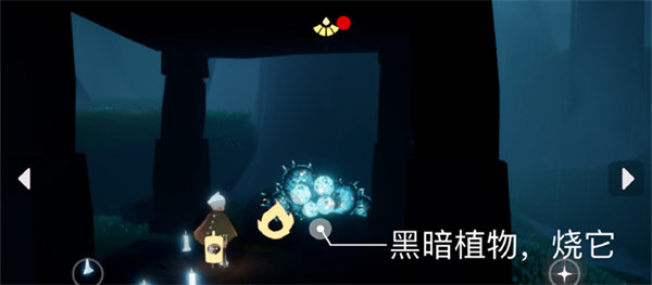 光遇空巢全物品解锁免费版