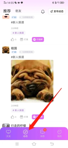 仙遇交友怎么用6