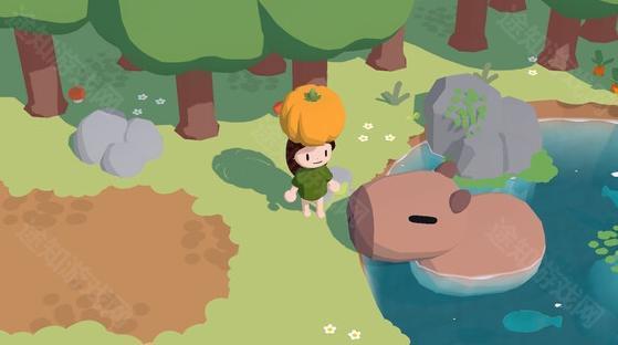 舒舒服服小岛生活时光