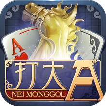内蒙古打大a