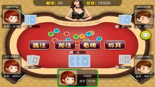 女子校园模拟器