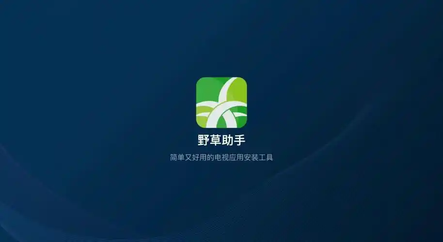 野草助手电视版