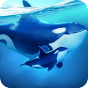 小小水世界内购版