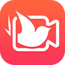 简影影视app官网