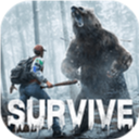 荒野迷城国际服