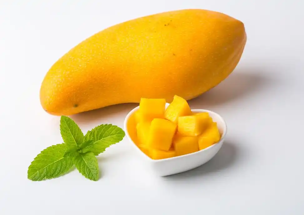 芒果小说免费阅读软件推荐