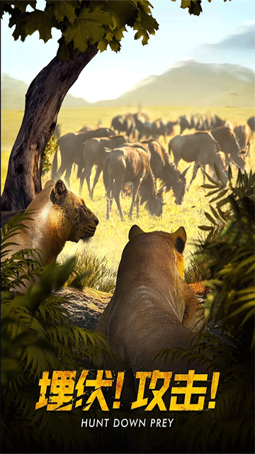 女子校园模拟器