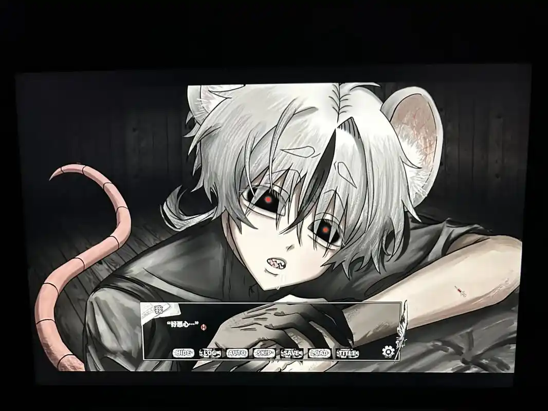 啮齿动物No44观察记录安装包