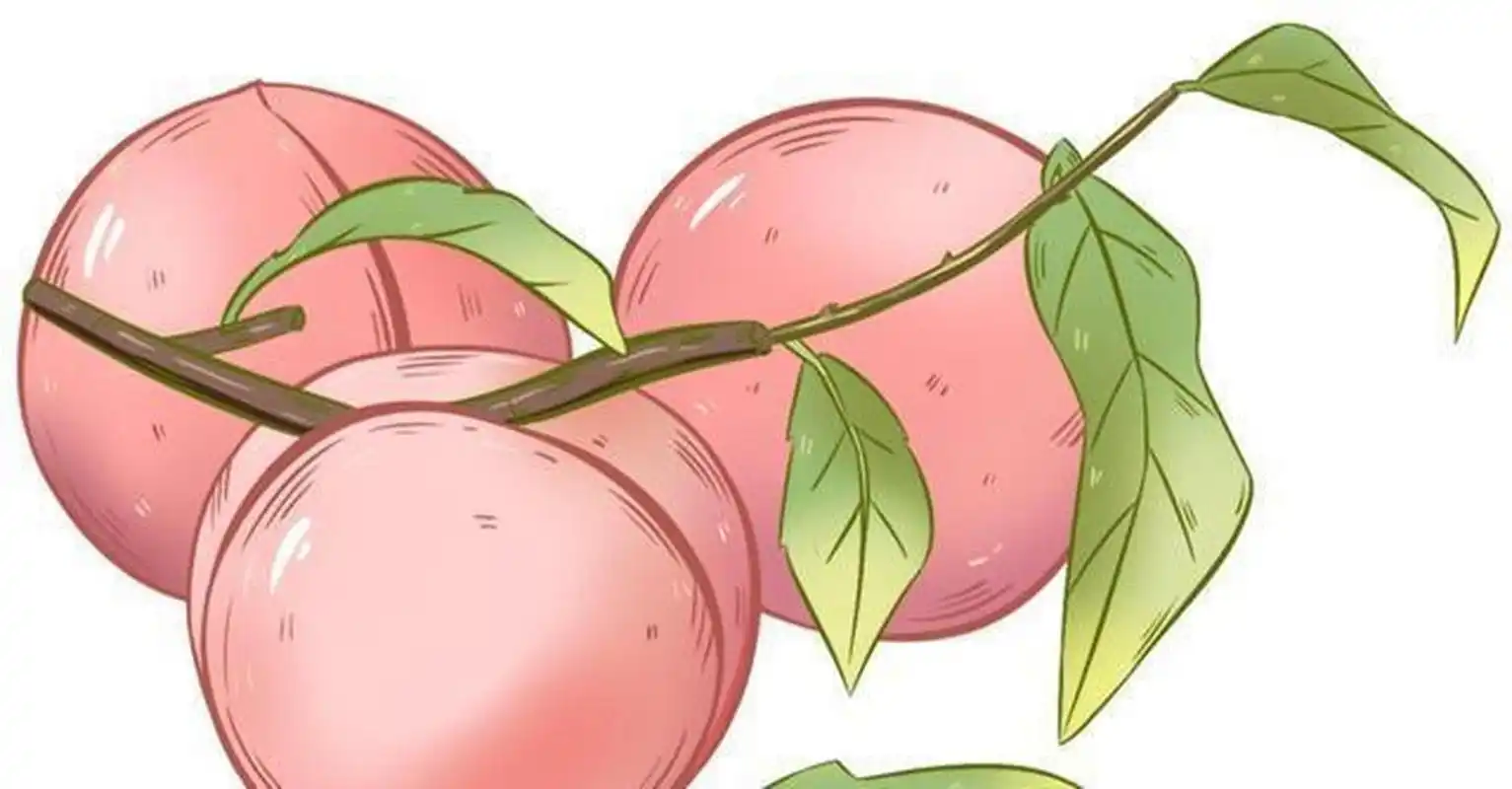 蜜桃小说app大全