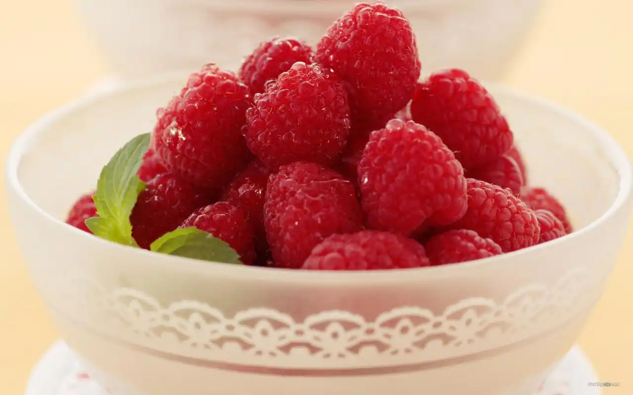 树莓阅读小说所有版本