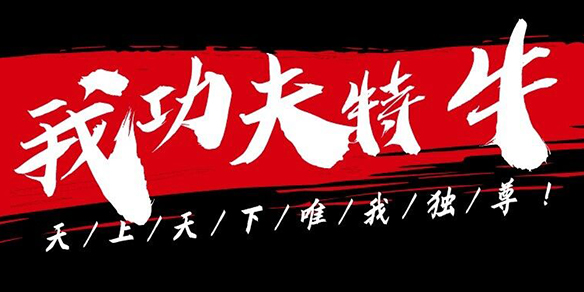 我功夫特牛游戏版本合集