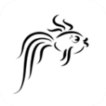 木鱼影视无广告版