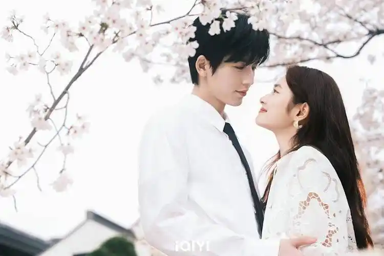 追剧猫软件推荐