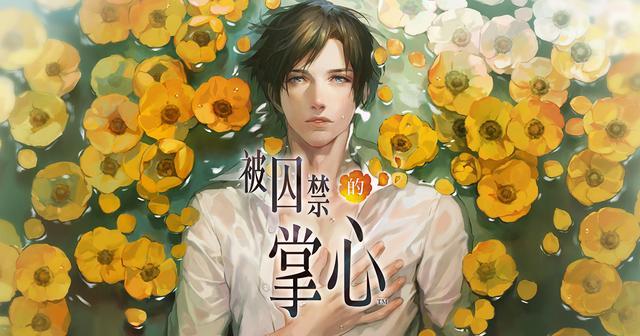 被囚禁的掌心手游