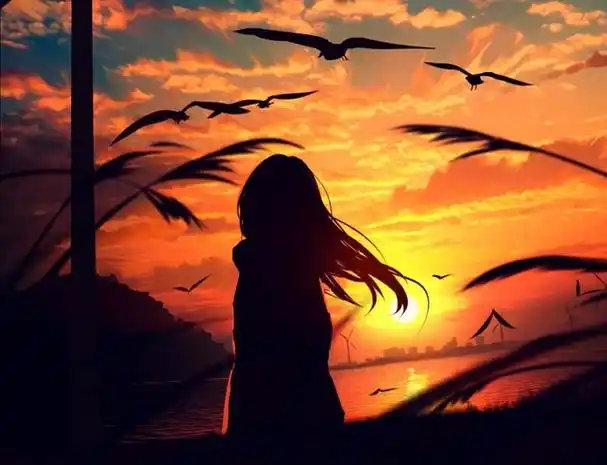 黑猫小说免费阅读