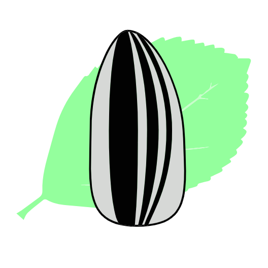 瓜籽影视2026正版